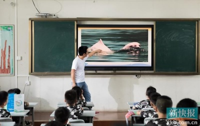 广东自然教育蓬勃发展 逾三百阵地赋能生态文化传播与产业发展